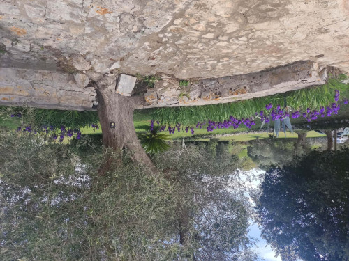 Villa in Contrada Pascarosa, Ostuni di 250 m² con 3 camere - Gallery - 13