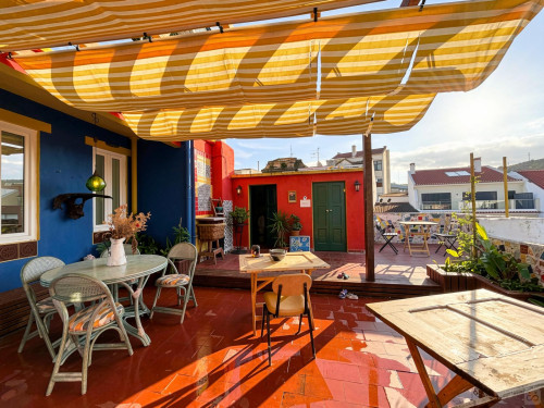 Serpa Pinto Home - Gallery - 50