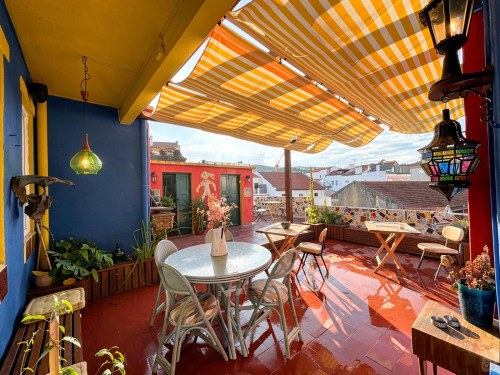 Serpa Pinto Home - Gallery - 21