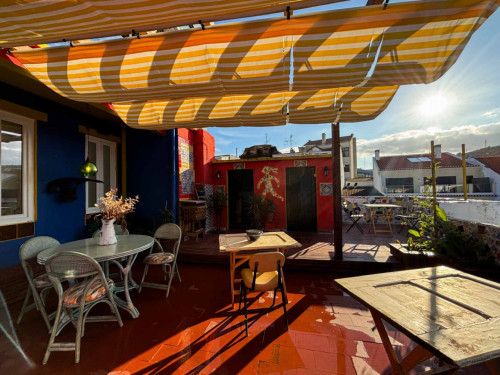 Serpa Pinto Home - Gallery - 44
