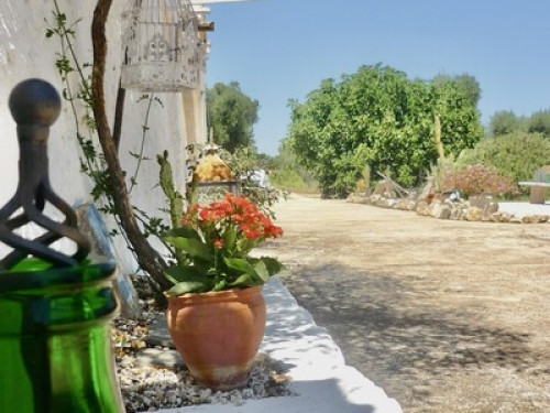 Priscilla Lamia Ostuni  - Gallery -  5