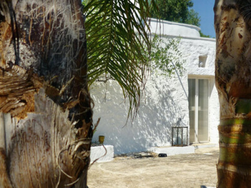 Priscilla Lamia Ostuni - Gallery - 18