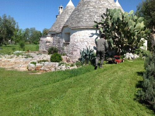 Trullo in Valle d'Itria