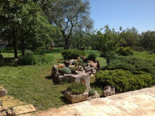 Trullo in Valle d'Itria - Gallery - 10