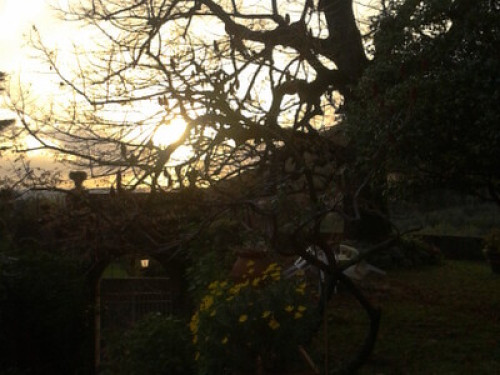 frescoed apartment in countryside