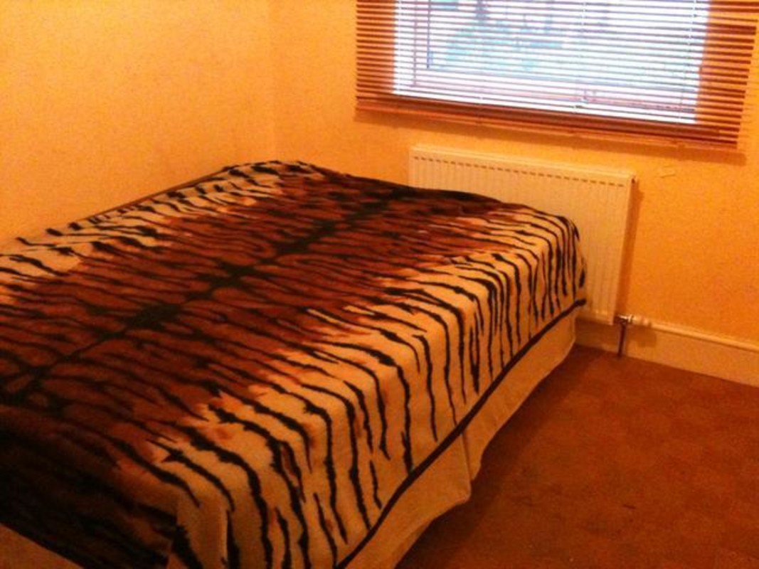 Room 1(Full Room) - 1