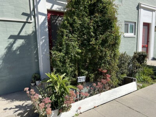 Live in the Heart of LA - Gallery - 31