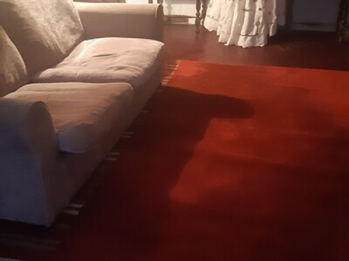 Vila Franca de Xira Near Lisbon - Gallery - 19