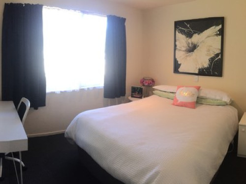 Our Hidden Gem in Christchurch - Gallery - 6