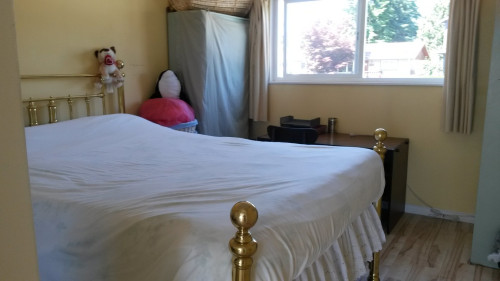 ** Females only **clean & quiet - Gallery - 10