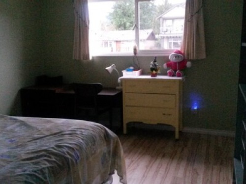 ** Females only **clean & quiet