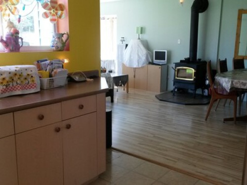 ** Females only **clean & quiet  - Gallery -  5