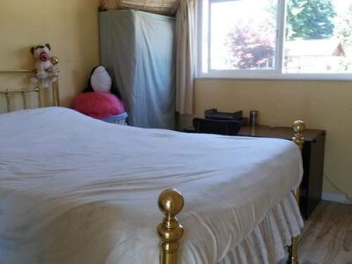 ** Females only **clean & quiet - Gallery - 6