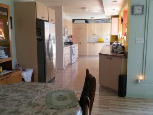 ** Females only **clean & quiet