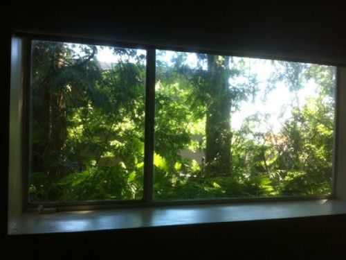 Best Homestay! Beautiful North Van - Gallery - 9