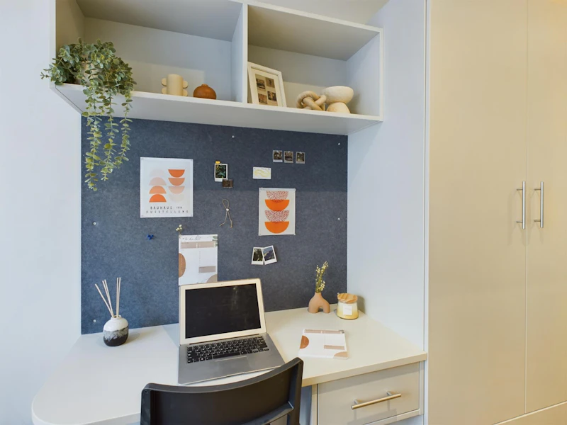  Classic Studio  -  Sheares Hall  - Gallery -  1