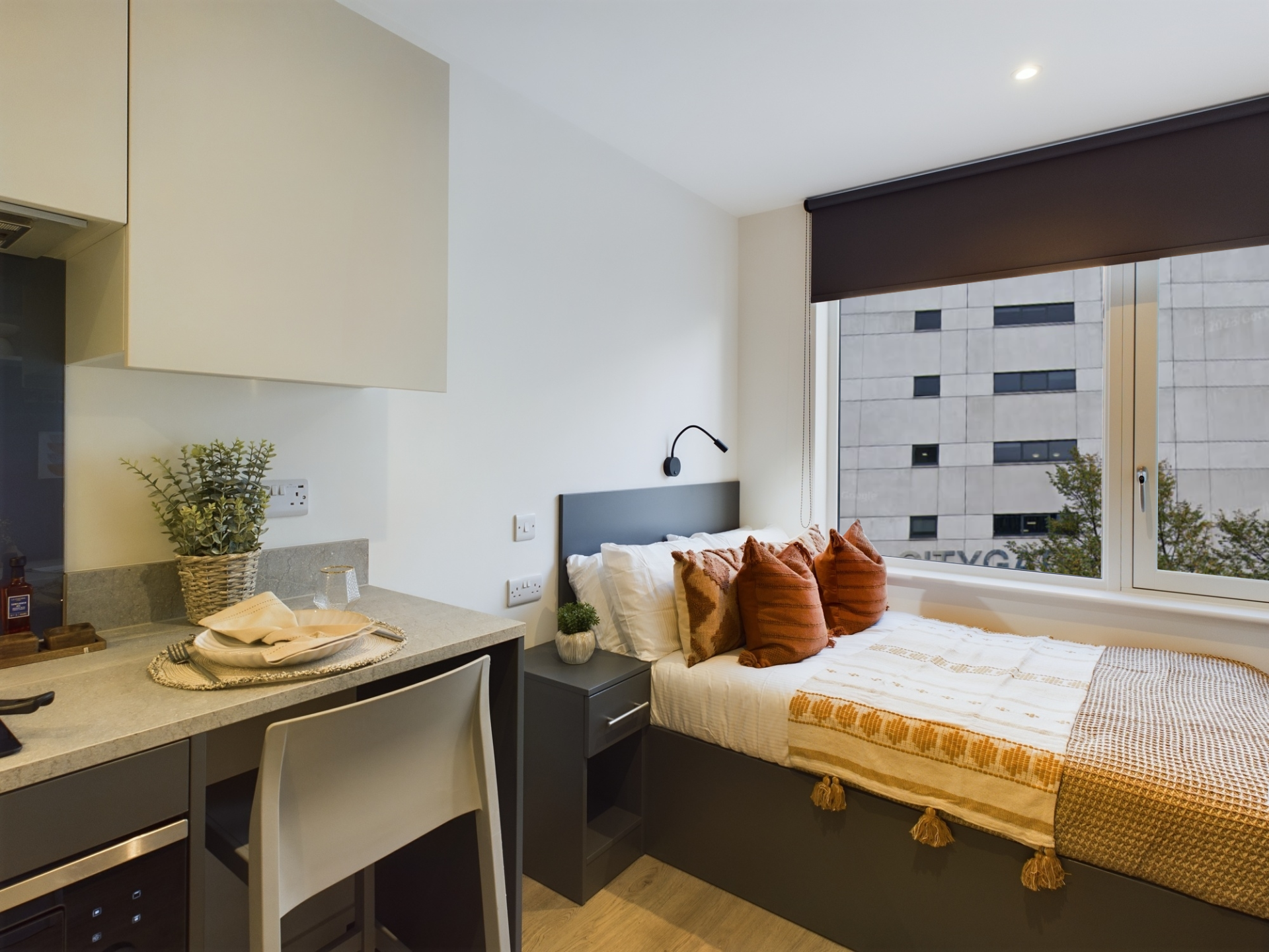  Classic Studio Plus  -  Sheares Hall  - Gallery -  15