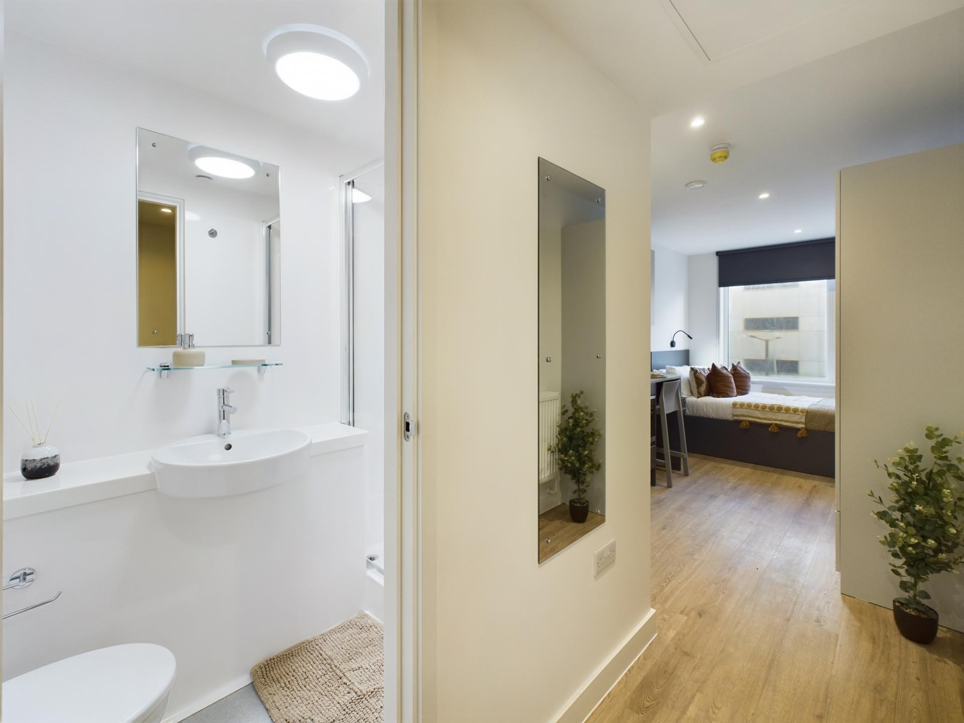  Classic Studio Plus  -  Sheares Hall  - Gallery -  11