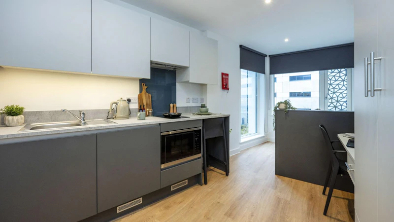  Premium Studio  -  Sheares Hall  - Gallery -  1