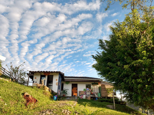 Vereda El Roble Home - Gallery - 116