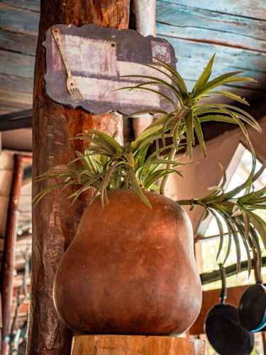 Agustin Iturbide Home - Gallery - 147