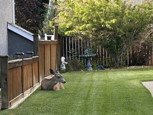 Friendly &comfortable accommodation