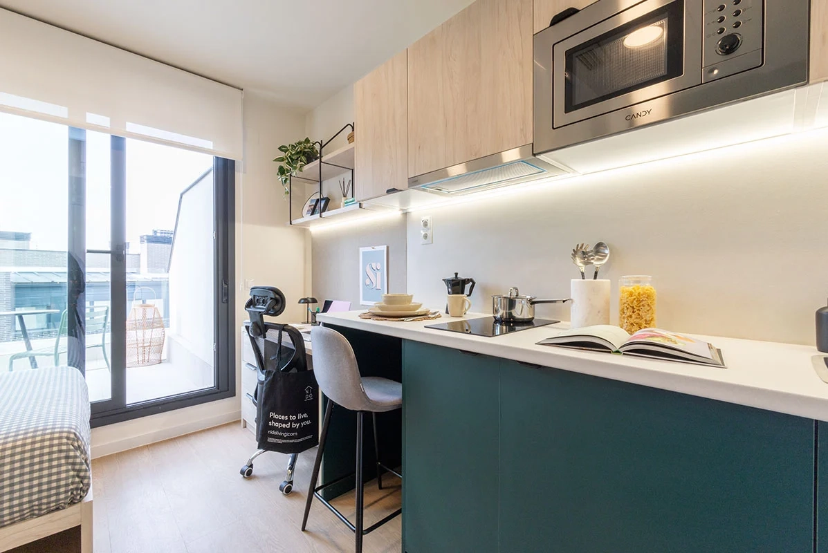 Studio Standard Kitchenette With Terrace - 6