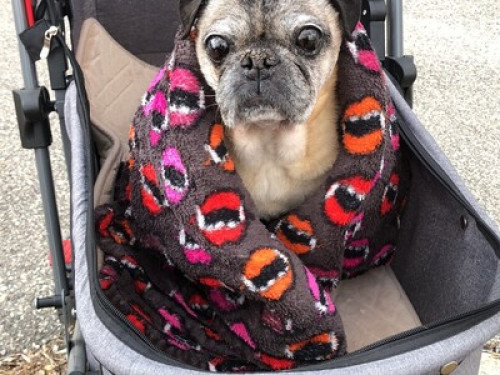 Family lives close to U of M campus