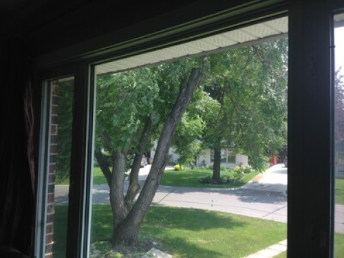 Family lives close to U of M campus - Gallery - 22