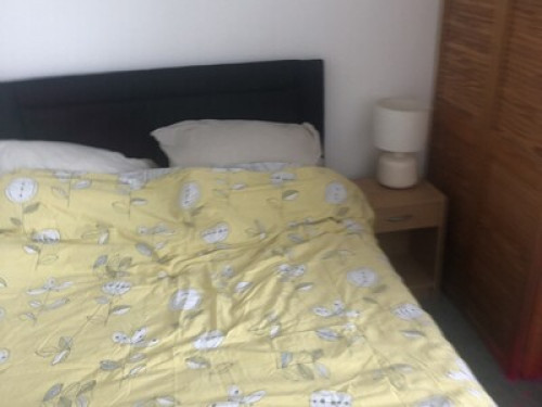 welcoming-homestay-awaits-cardiff-104621266120241112044631AM