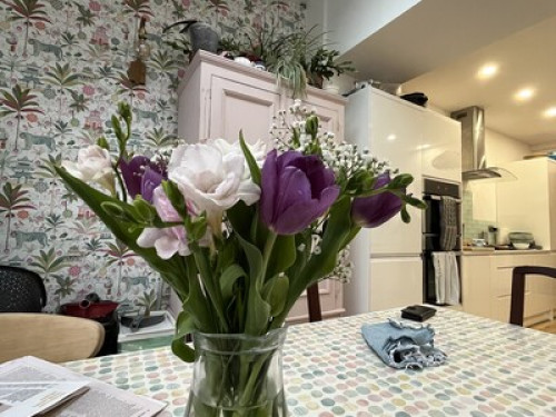 welcoming-homestay-awaits-cardiff-118377152120241112044627AM