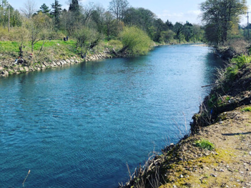 welcoming-homestay-awaits-cardiff-189749716520241112044630AM