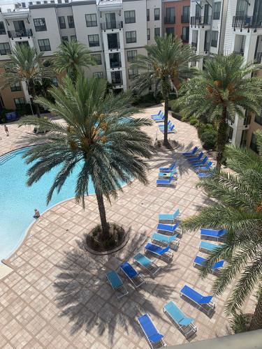 Lark Central Florida - Gallery - 9