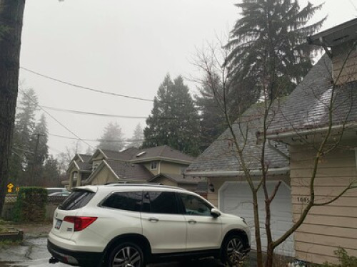 friendly-and-loving-family-of-5-surrey-87266142420241113045030AM