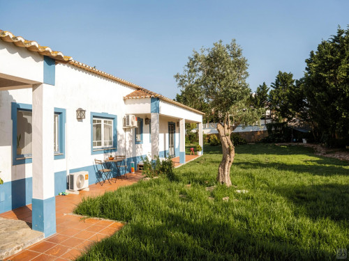 Sol Home - Gallery - 149