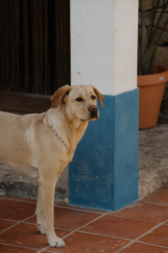 Sol Home - Gallery - 51
