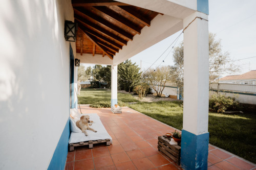 Sol Home - Gallery - 74