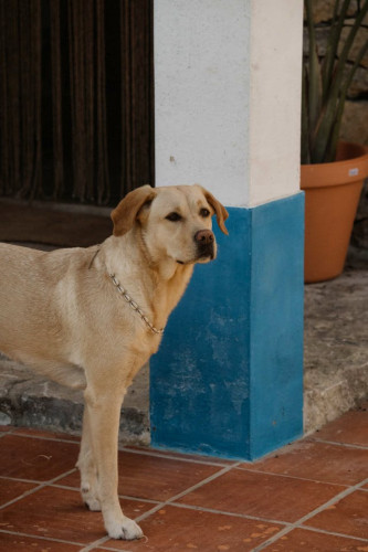 Sol Home - Gallery - 13