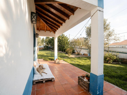 Sol Home - Gallery - 173