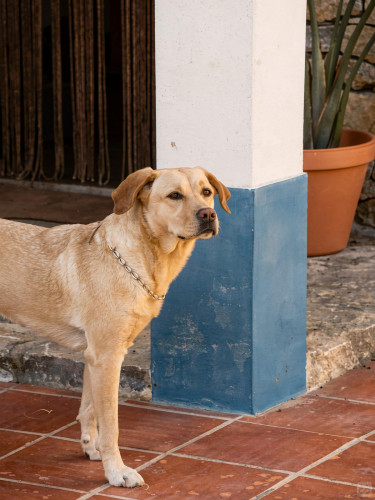 Sol Home - Gallery - 129