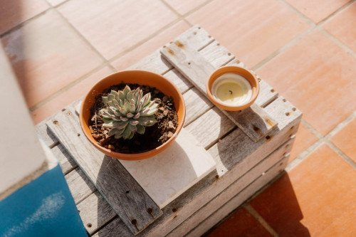 Sol Home - Gallery - 28