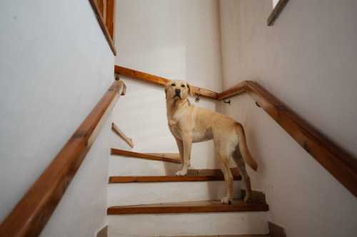 Sol Home - Gallery - 107