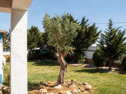 Sol Home - Gallery - 135
