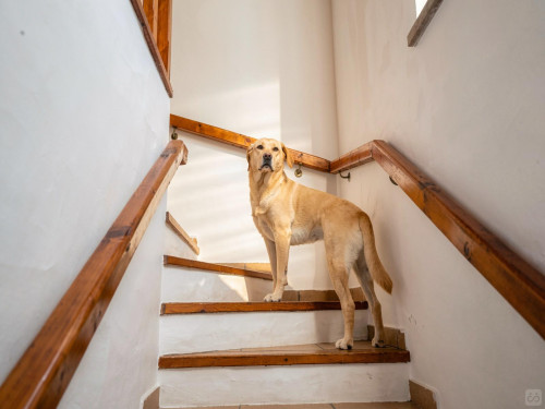 Sol Home - Gallery - 151