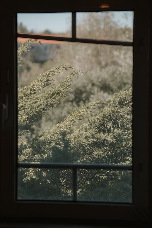 Mid-Sized Room - 48