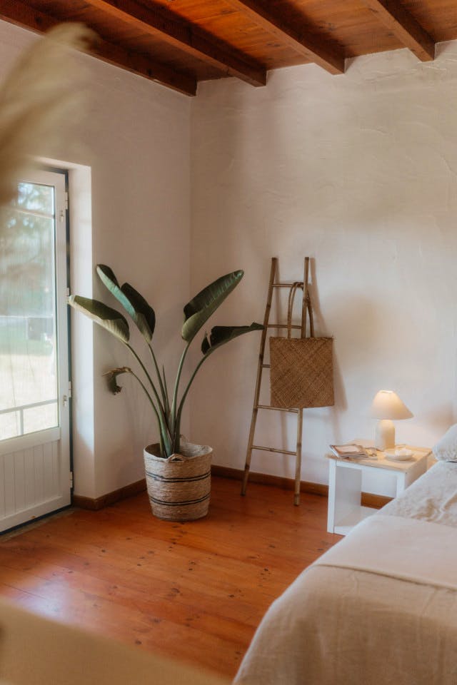 The Suite - 3