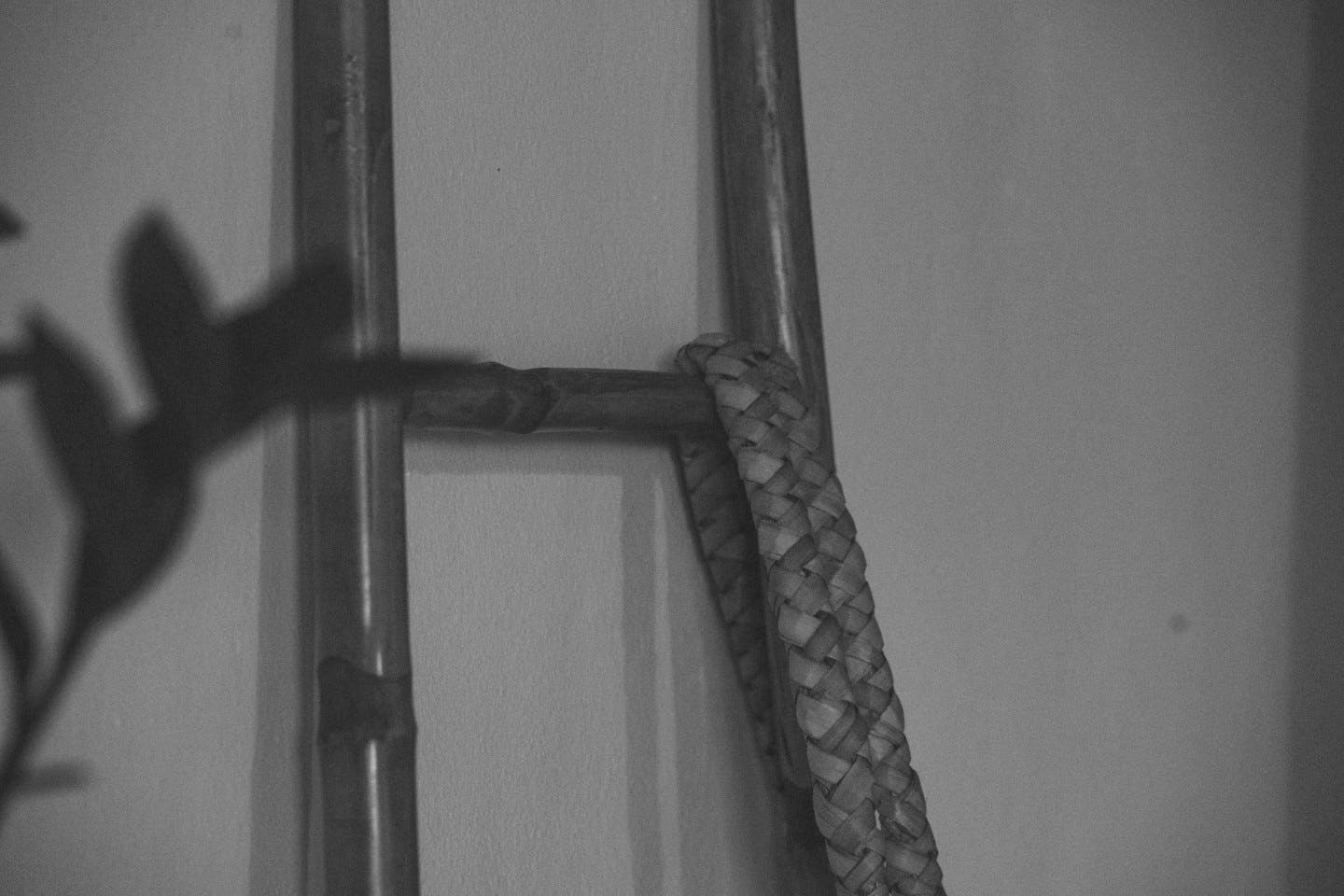 Mid-Sized Room (Cozy Plus) - 4