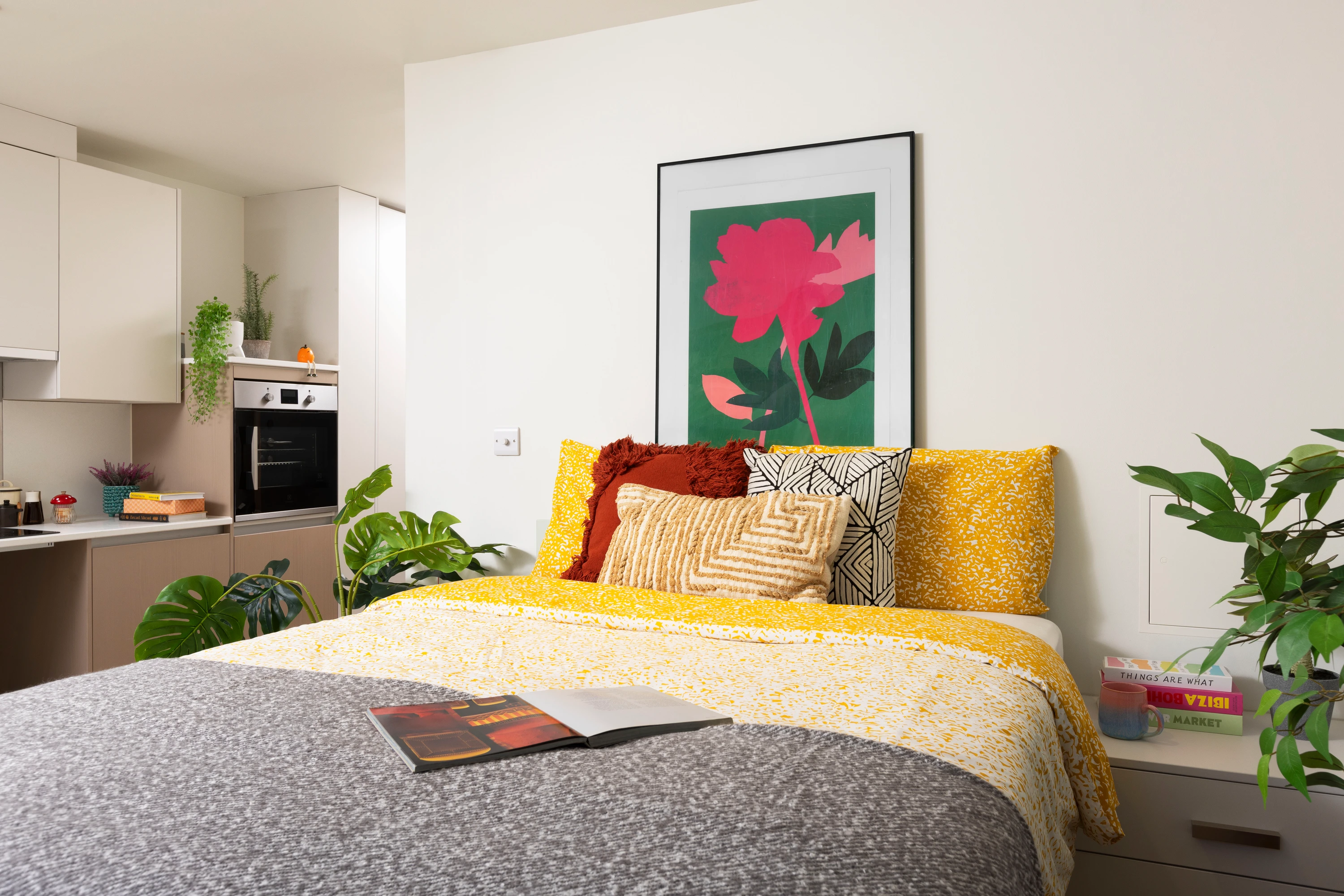  Single Wheelchair Accessible Studio  -  Burnet Point  - Gallery -  1