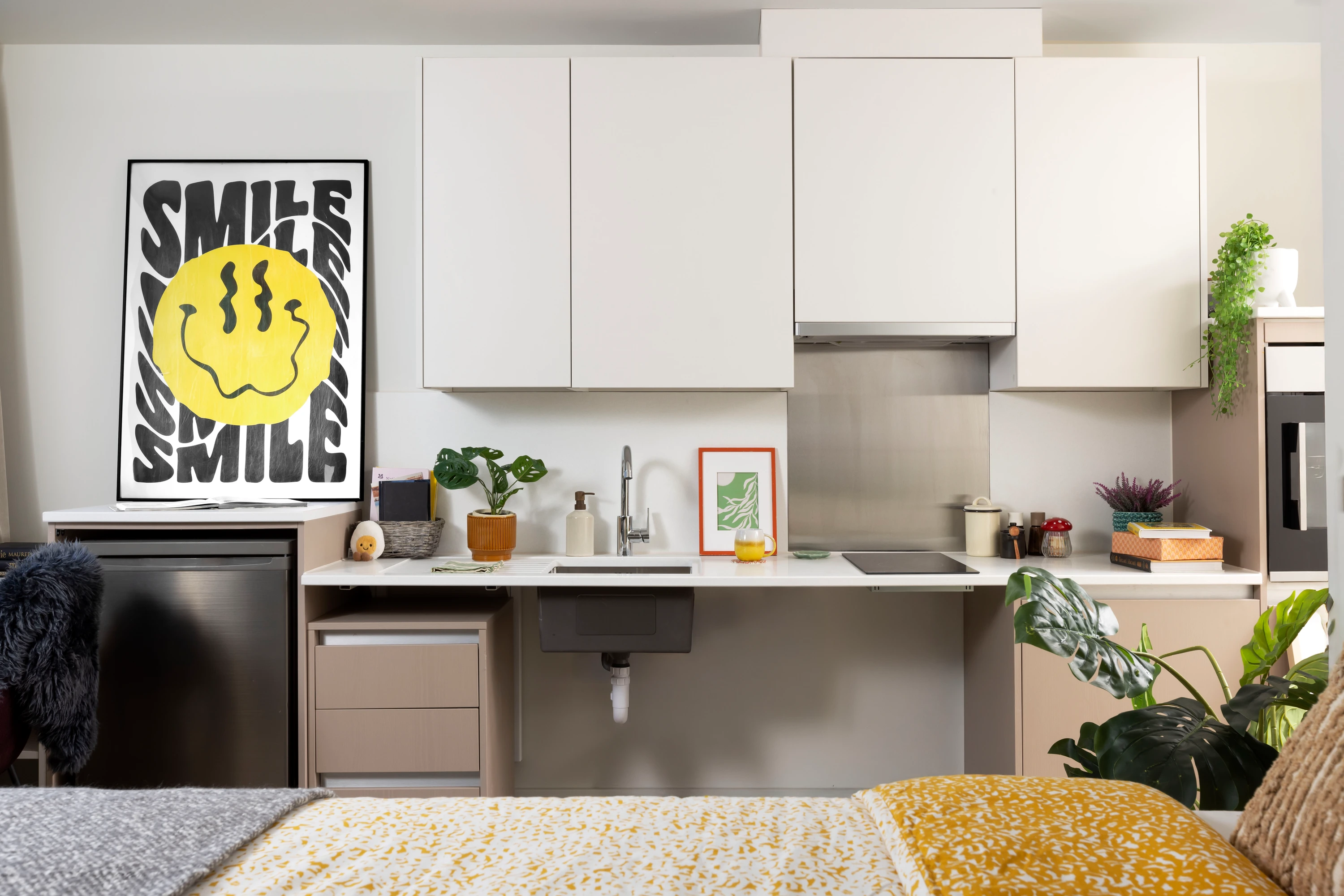  Double Wheelchair Accessible Studio  -  Burnet Point  - Gallery -  1