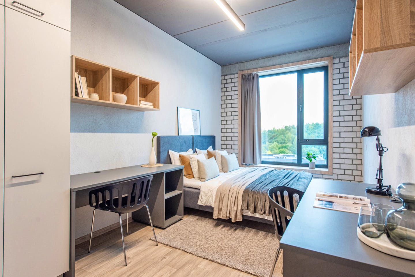 Private Single Comfort Studio - Stunning Stylish Complex w/ Gym + Coworking near grocery store Apartment - Gallery - 5